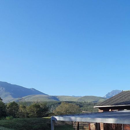 Summer Villa 모젤베이 외부 사진